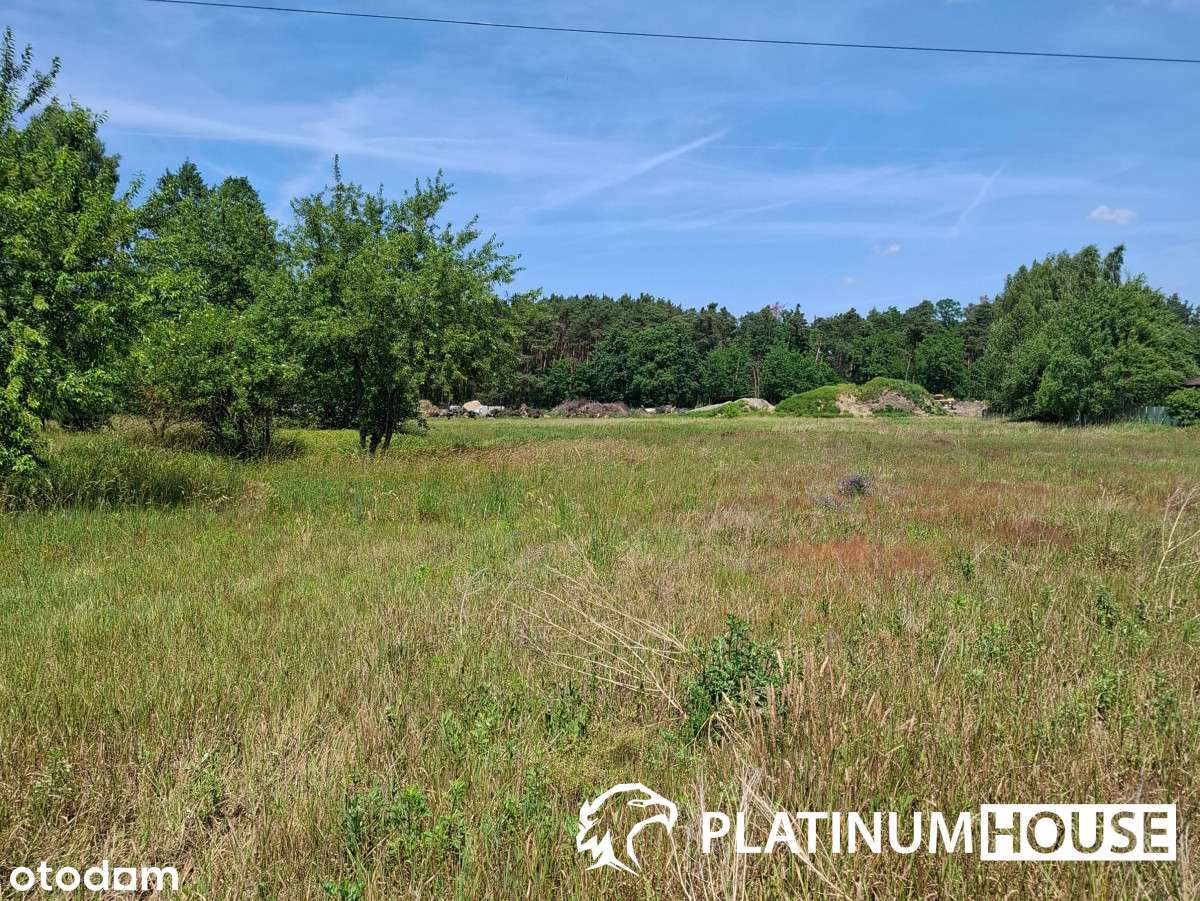 działki idealne pod budowę domu lub inwestycję - Pełny obrazek: 4/4