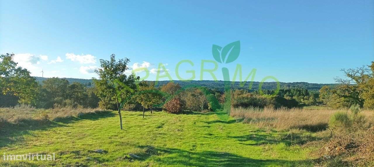 Terreno rústico Ourozinho, Penedono - Grande imagem: 5/18