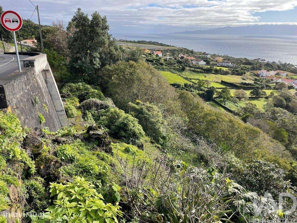 Casa / Villa T5 em Santo Amaro de 210,00 m2 - Grande imagem: 3/20