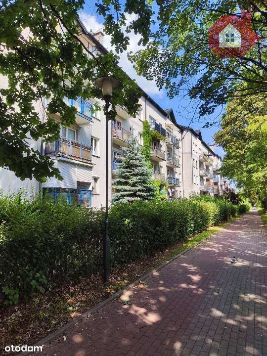 127 m2 - 5 pok z meblami bez dodatkowych nakładów-0