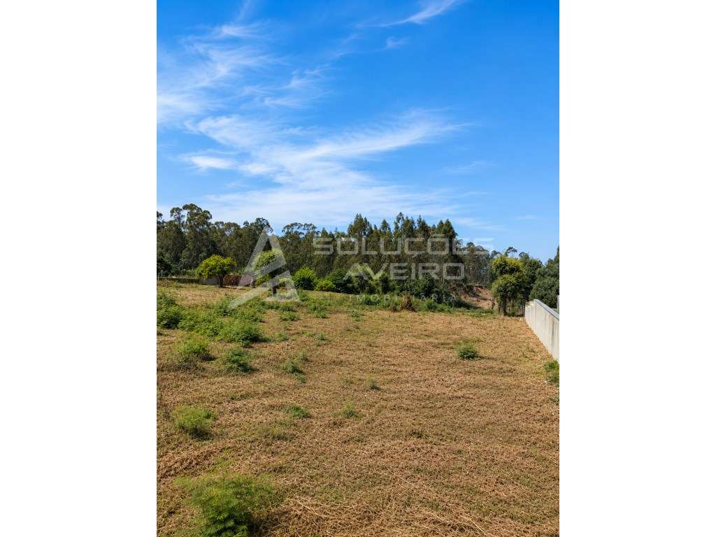 TERRENO COM POTENCIAL URBANIZÁVEL EM ESPINHEL ÁGUEDA-8