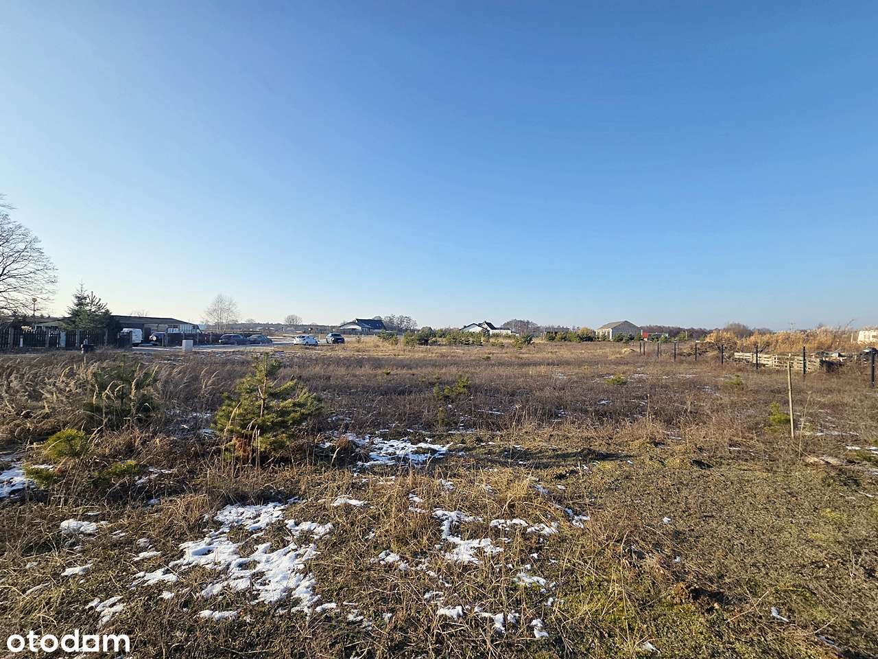 Na nowopowstałym osiedlu w sąsiedztwie lasu-0