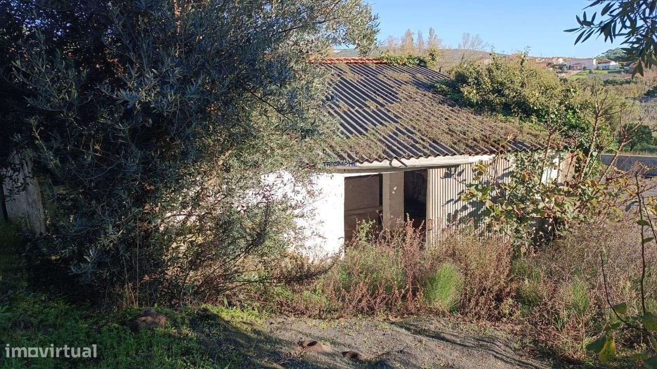 Ruína inserida num lote de terreno 1123m2 Alcobertas Rio Maior - Grande imagem: 5/15