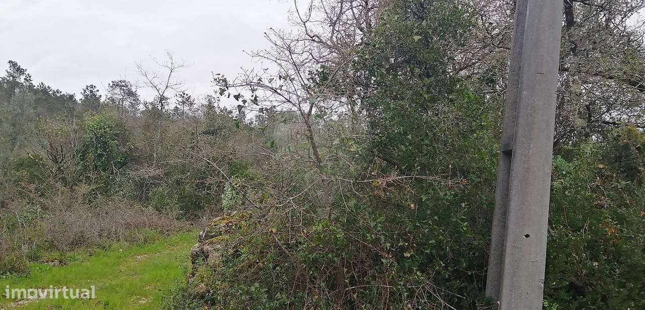 Terreno  para venda - Grande imagem: 3/3
