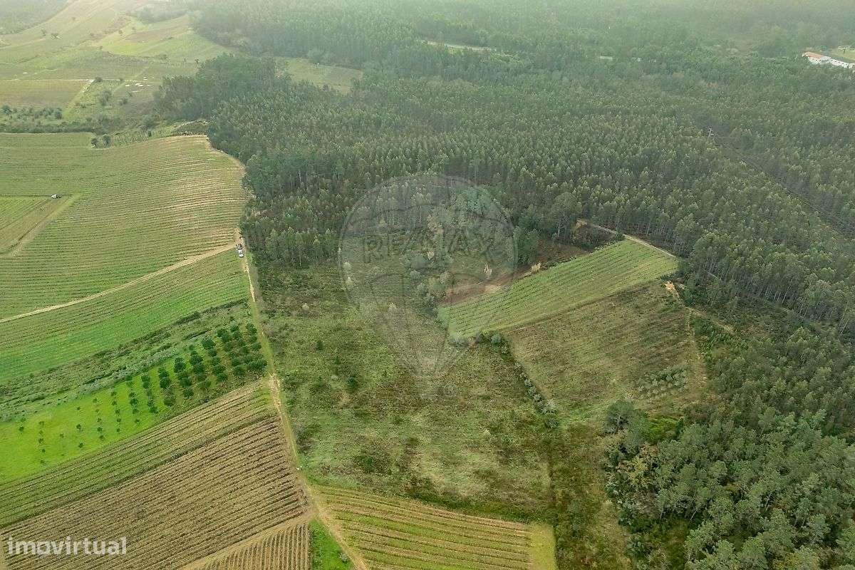 Terreno  para venda - Grande imagem: 5/16