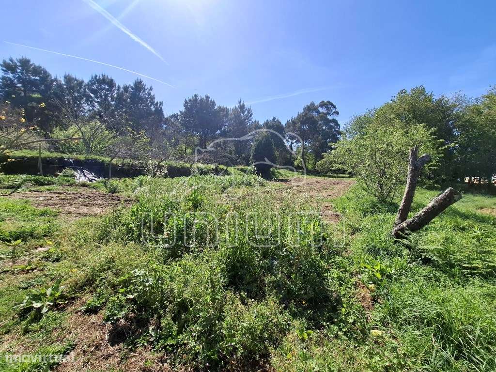 Fabuloso terreno para venda em Seixas-8