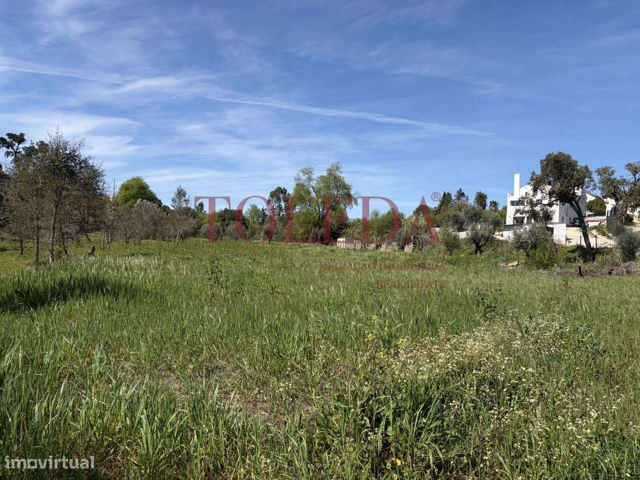 Quintinha em Tomar com 2 casas-54