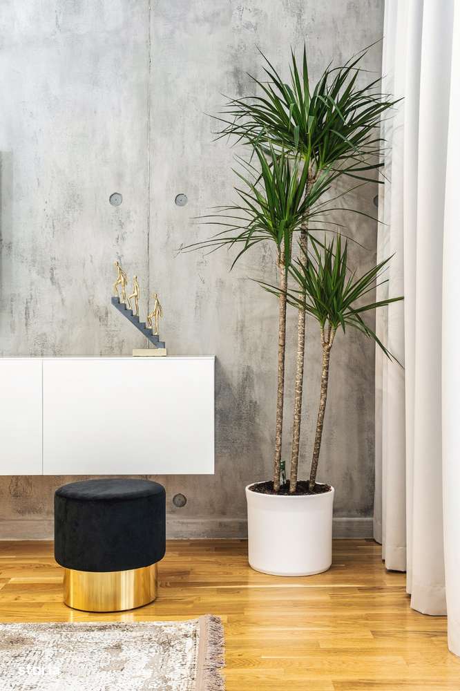 2 camere - LUXURIA RESIDENCE, Domenii, Expozitiei, Herastrau - Imagine principală: 5/20