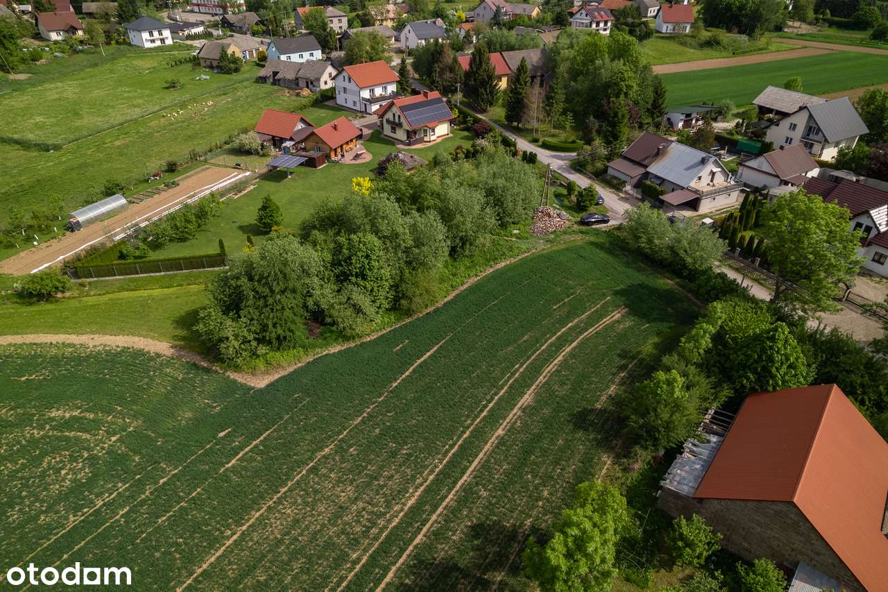 33 ary działka podzielona na 14 i 19 arów, możliwość kupna w całości - Pełny obrazek: 4/6