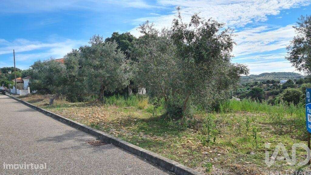 Terreno em Chamusca e Pinheiro Grande de 647,00 m2 - Grande imagem: 4/11