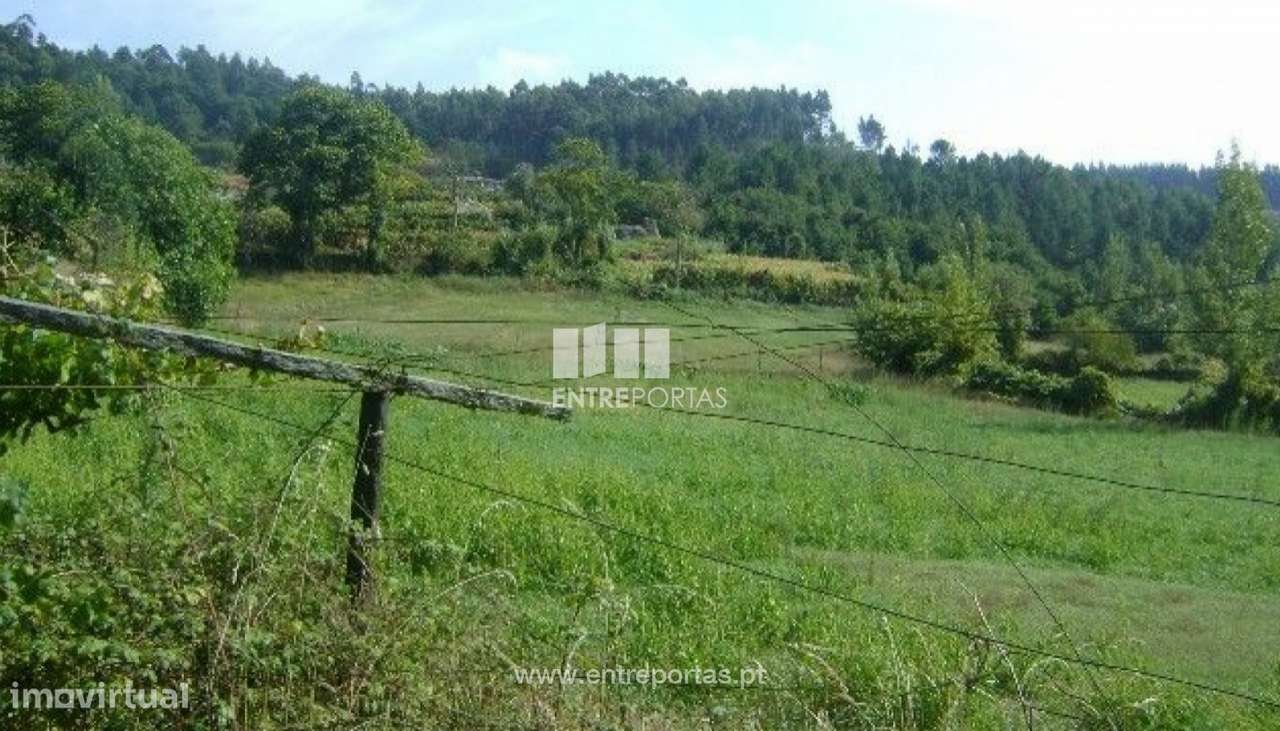 Venda Terreno com área de 9800 m2, Gove, Baião - Grande imagem: 2/10