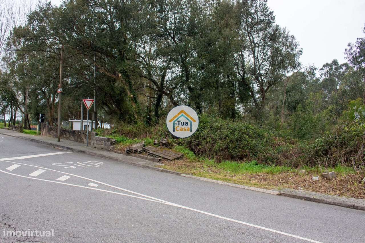 Terreno para Construção – 4000m2 em Lourosa - Grande imagem: 5/15