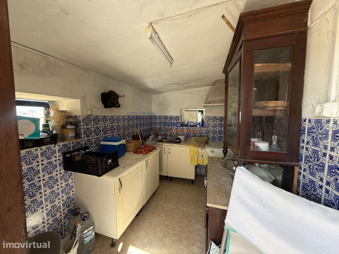 Quinta 22.440m2- ESTOMBAR - Carvoeiro-28