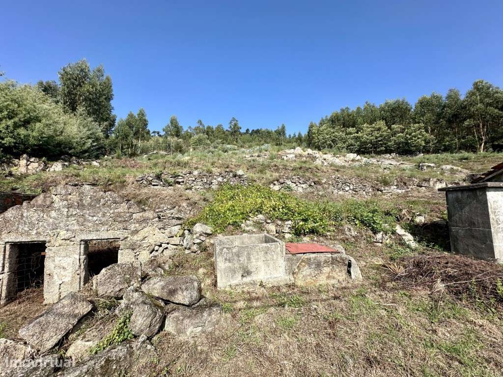 Terreno para Construção em Baltar - Grande imagem: 4/11