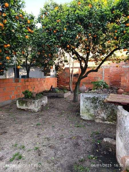 Moradia térrea com quintal dentro da cidade. - Grande imagem: 4/12