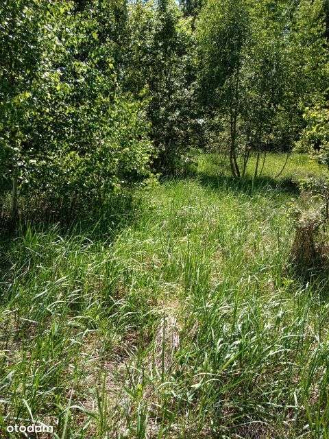 Atrakcyjna działka 1200m2 - Pełny obrazek: 4/8