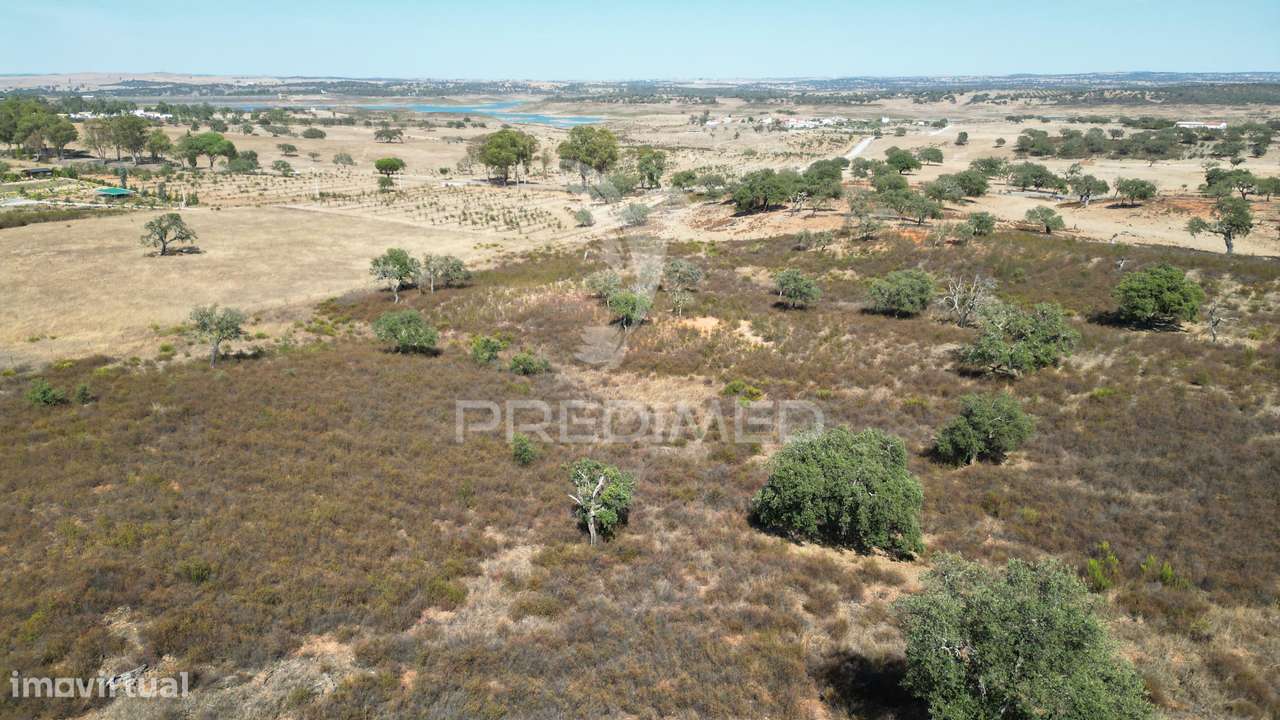 Terreno rústico com 5,2500 ha em Chada velha, Ourique - Grande imagem: 4/11