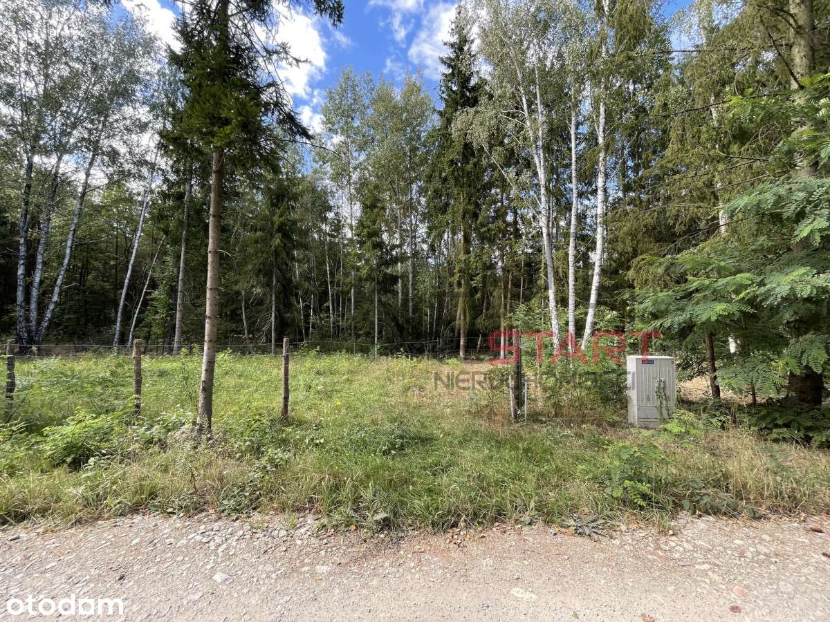 Urokliwa działka na skraju lasu. - Pełny obrazek: 4/16