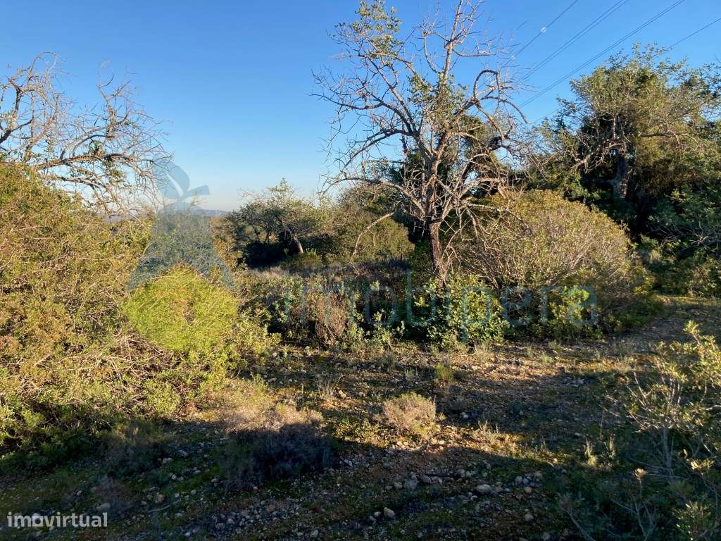 TERRENO RÚSTICO DE 3.200(m2) TOTALMENTE MURADO EM ZONA TRANQUILA-A ... - Grande imagem: 2/10
