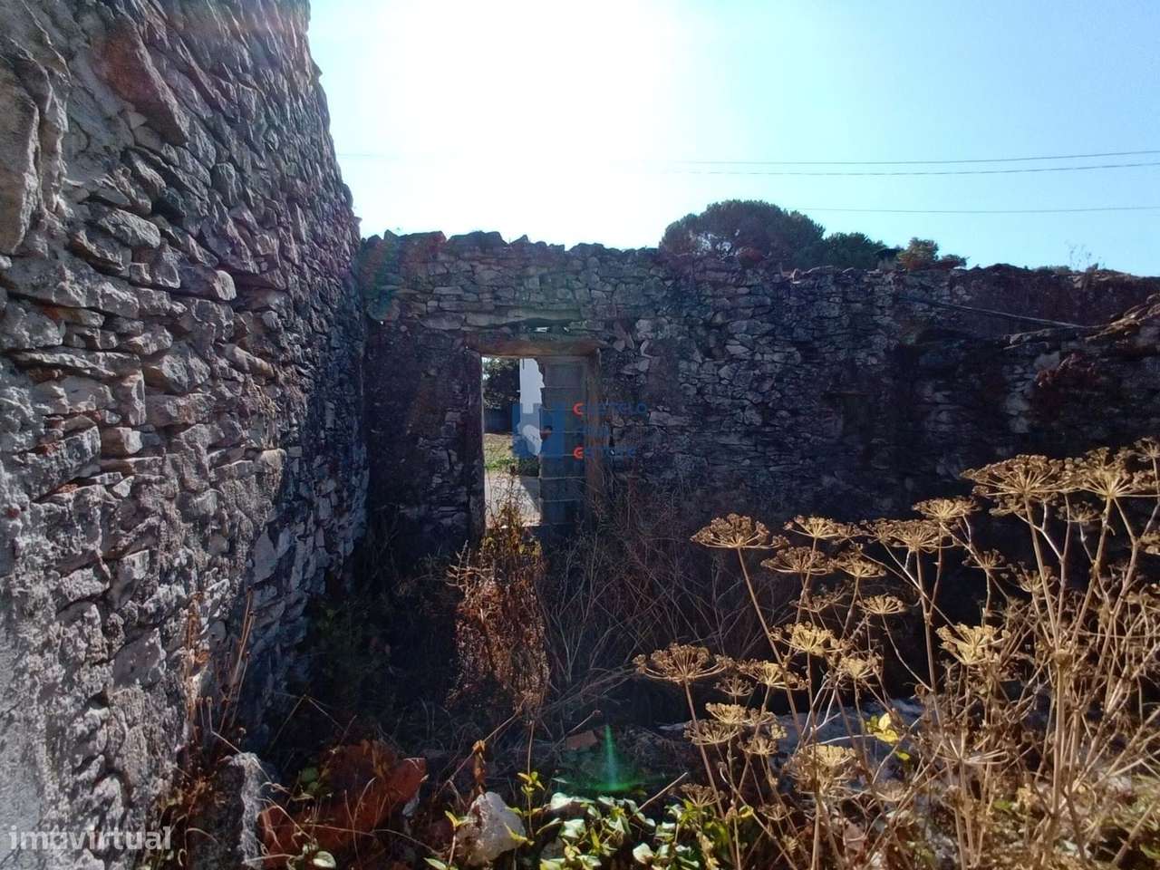 Moradia em ruina com terreno em Maxieira-18