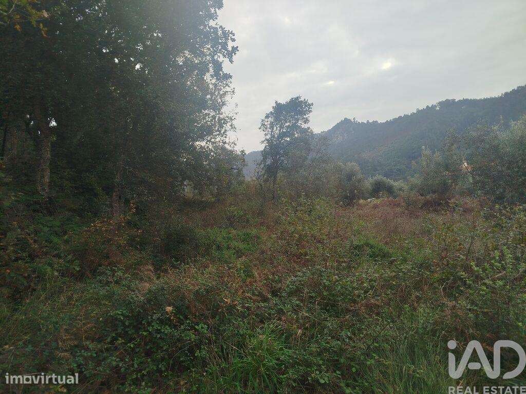 Terreno em Penacova de 885,00 m2 - Grande imagem: 4/8