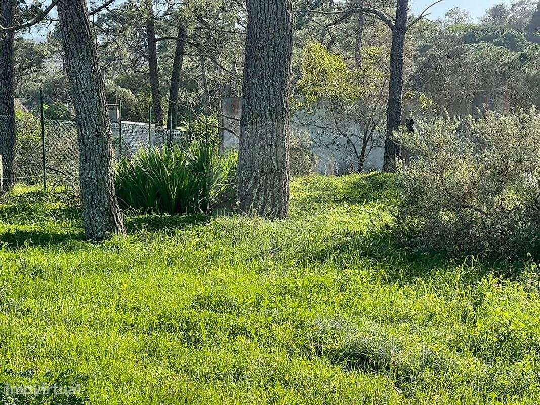 Moradia T1 para venda-9