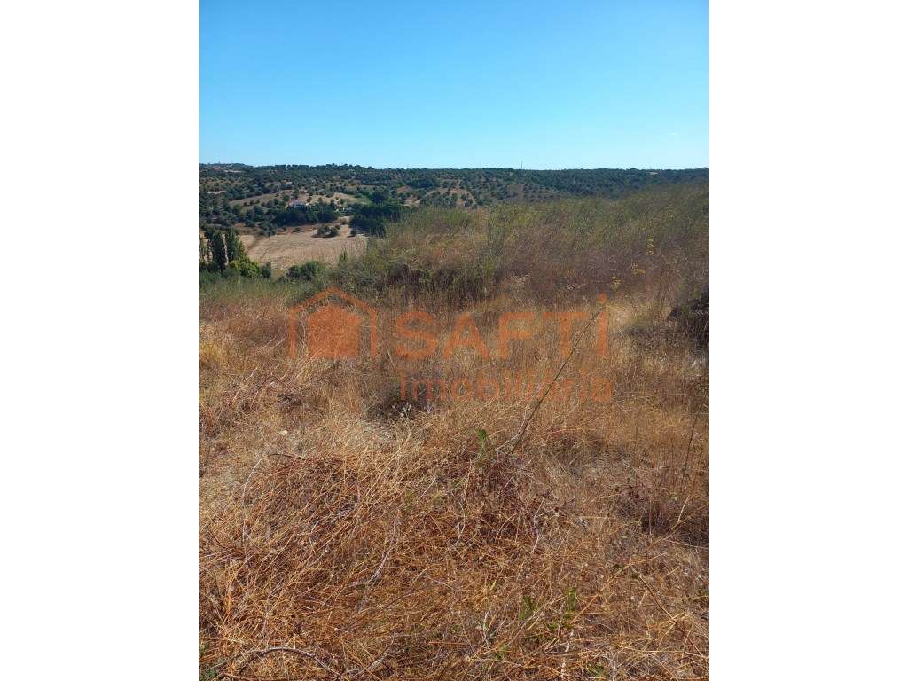 Terreno Rústico Para Venda - Grande imagem: 4/7