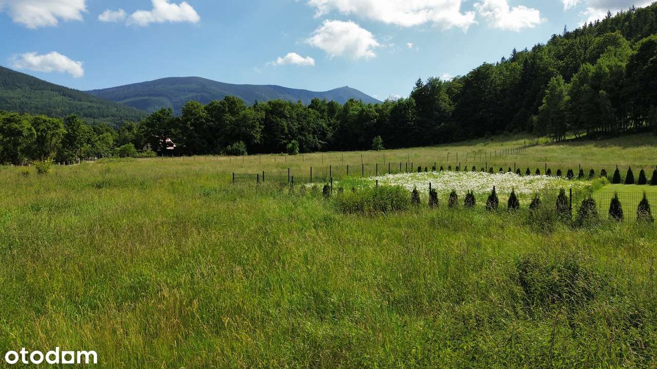 Słoneczna działka 1764 m2. Mega widoki! Parę min. od centrum. Media!-5