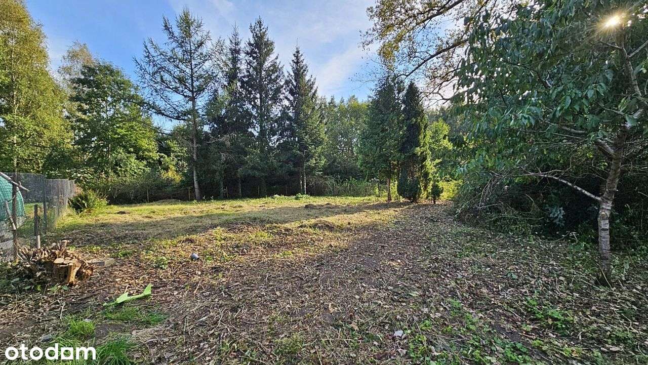 Dzierżęcino, działka pod bud. jednorodzinne, super dojazd. - Pełny obrazek: 4/9