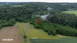 Wyjątkowa działka za 60k 1ha, Zagorzyce w Lesie