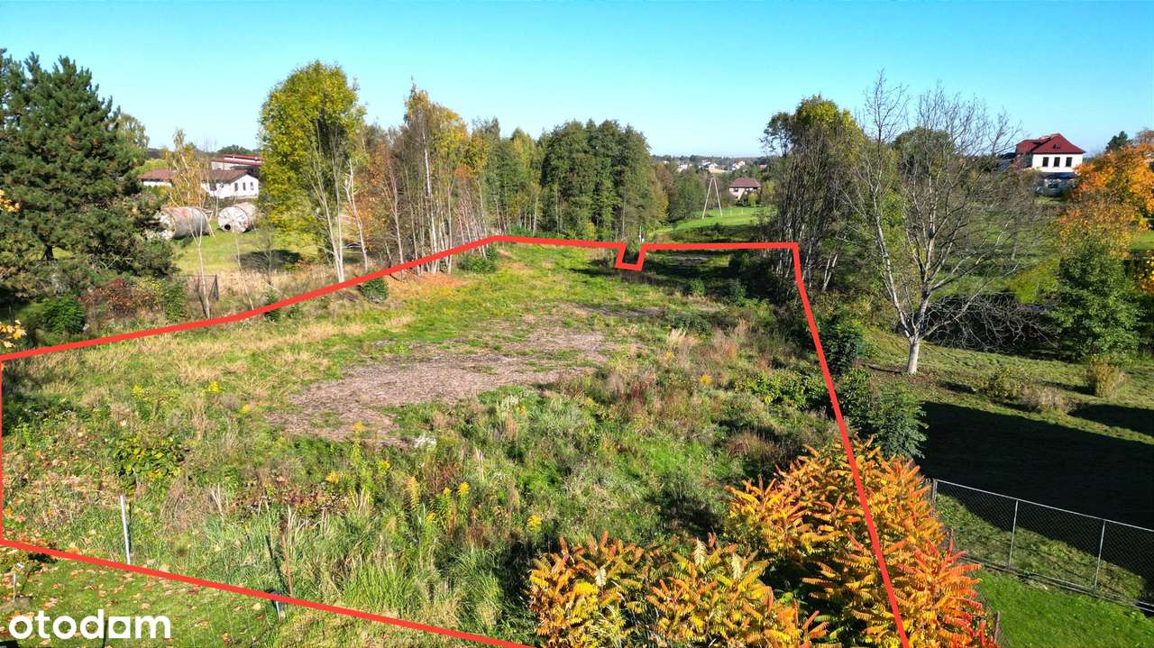 Świetna inwestycja! Działka 5719 m² w Kaczycach za jedyne 180 000 zł! - Pełny obrazek: 4/12