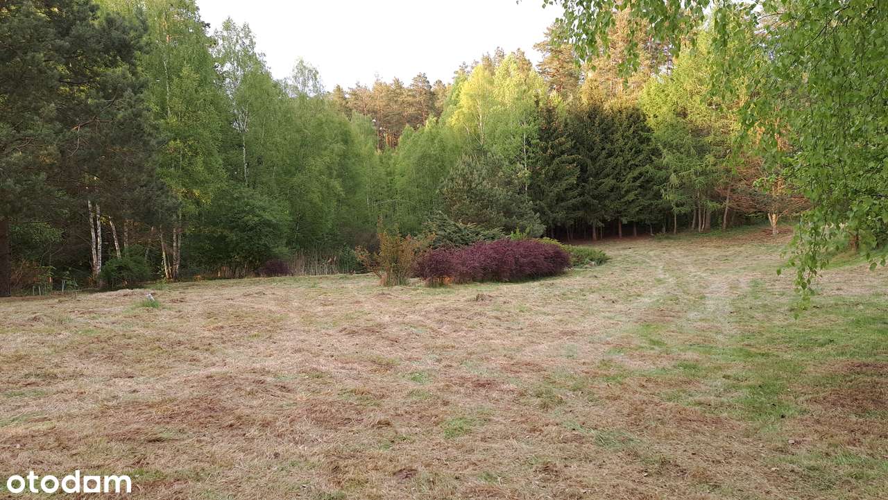 Zimna Woda, gmina Dźwierzuty, powiat szczycieński, warmińsko-mazurskie - Pełny obrazek: 5/20