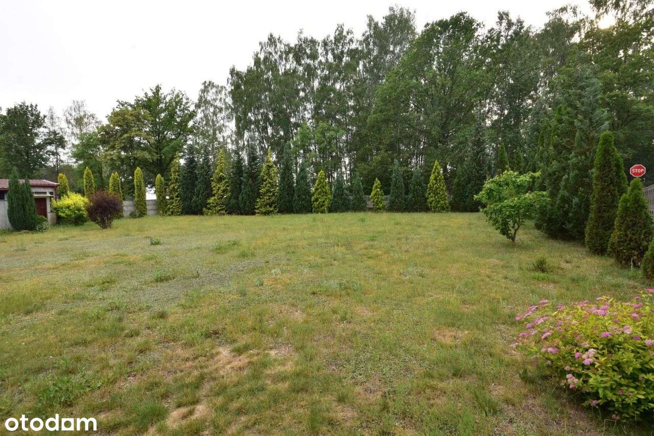 Działka, 1 200 m², Cisów - Pełny obrazek: 4/9