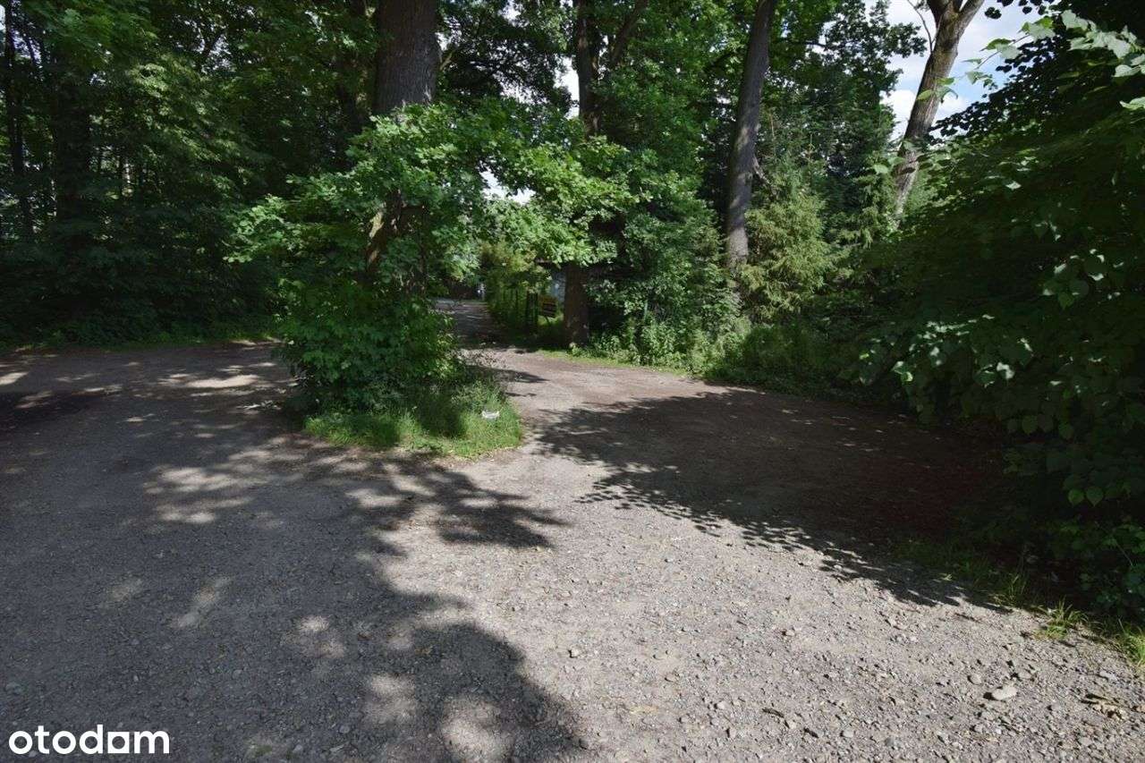 Budynek Rekreacyjny 80m2, Drogomyśl,Działka 4435m2-9