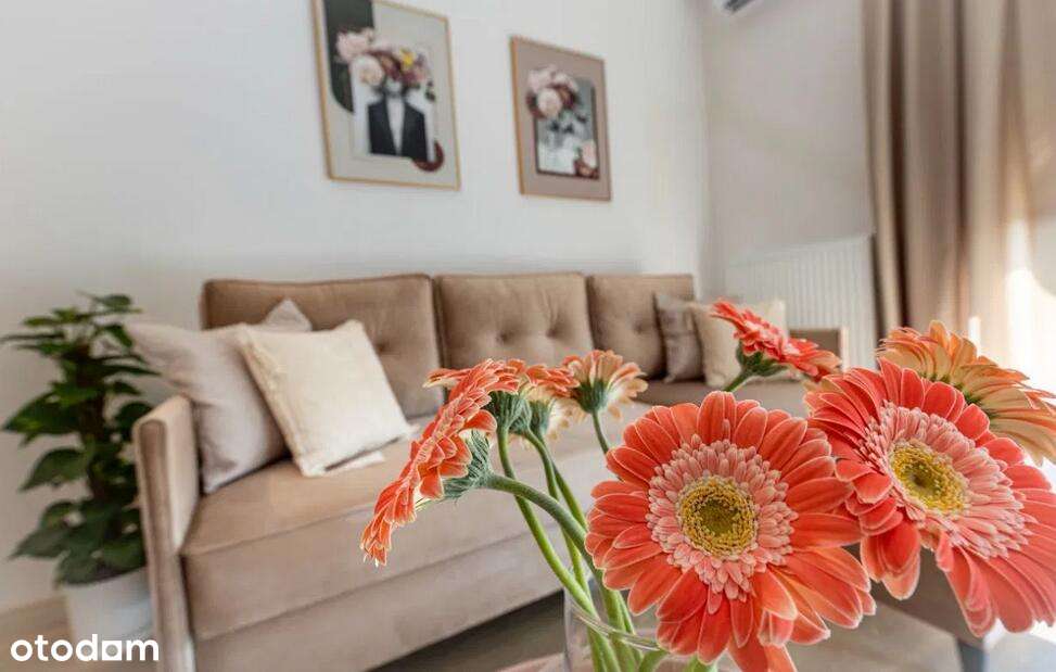 Nowe Gotowe 2-pok blisko Parku i Stadionu OKAZJA - Pełny obrazek: 4/4