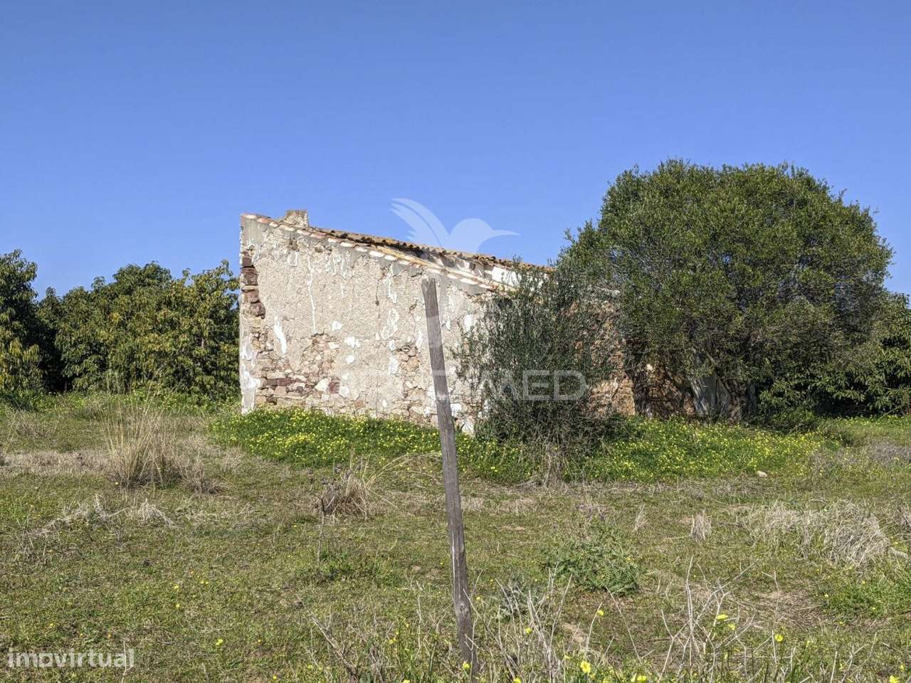 Terreno misto e ruína em Vila Nova de Cacela, constroi 300m2 - Grande imagem: 4/20