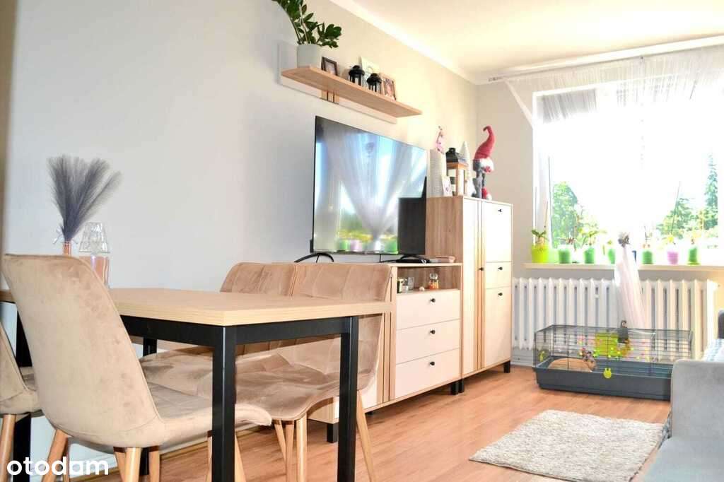 Natura i inwestycja w jednym - Pełny obrazek: 3/14