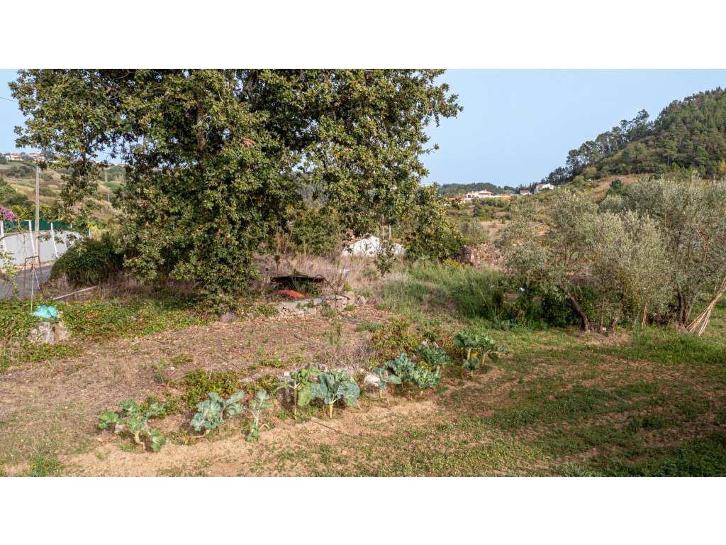 Terreno com Ruina no Vimeiro ' Casal' - Grande imagem: 4/16