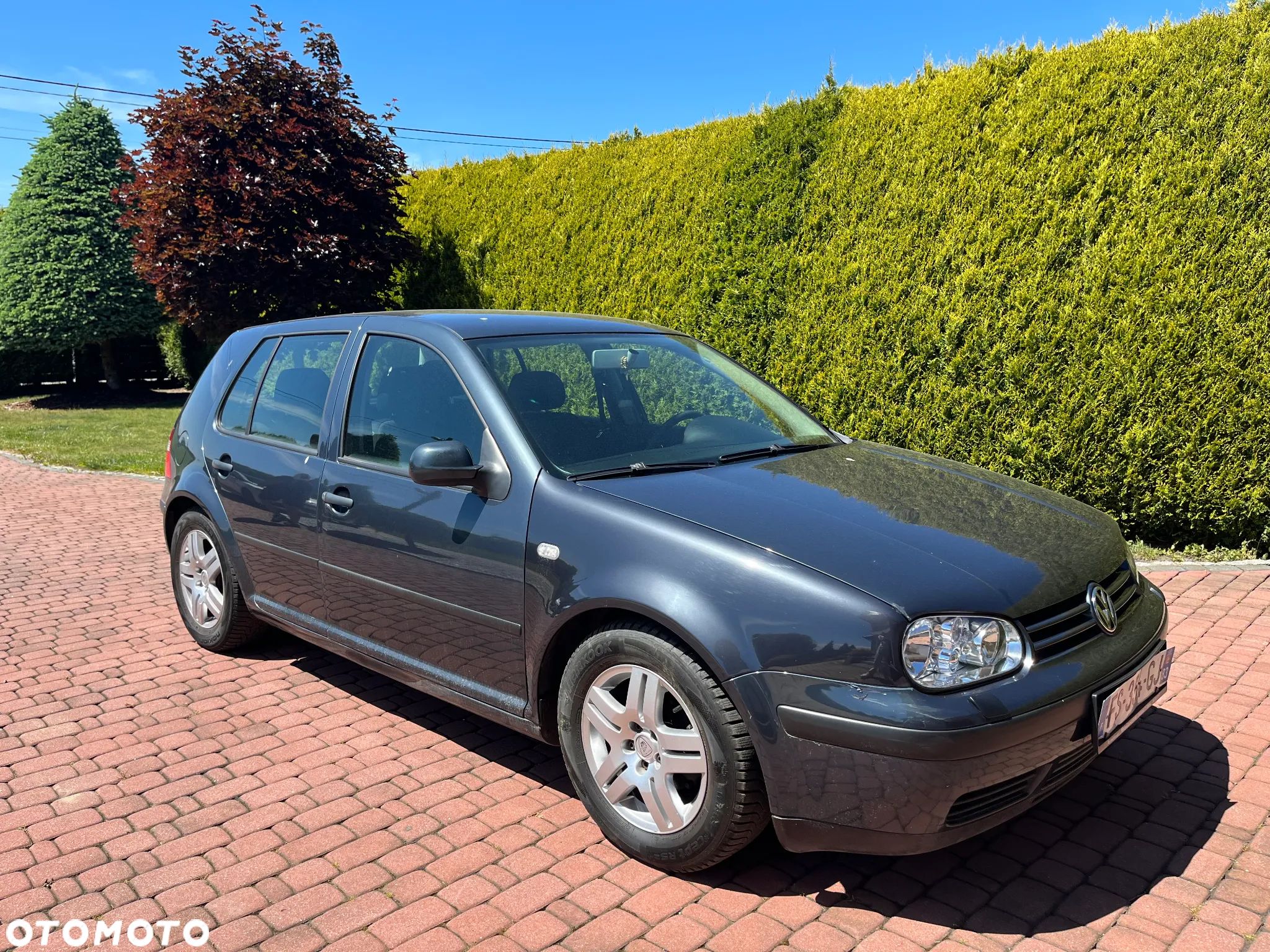 Volkswagen Golf IV 1.4 16V Basis - 1