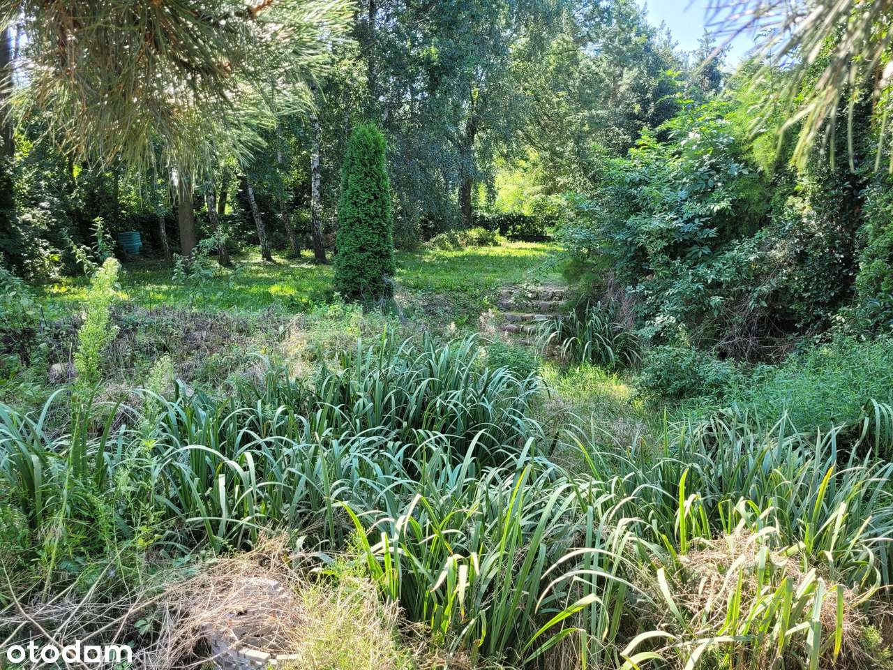 Dom 138 m2 z garażem 84 m2 i działką na biznes GRZEGORZEW-19