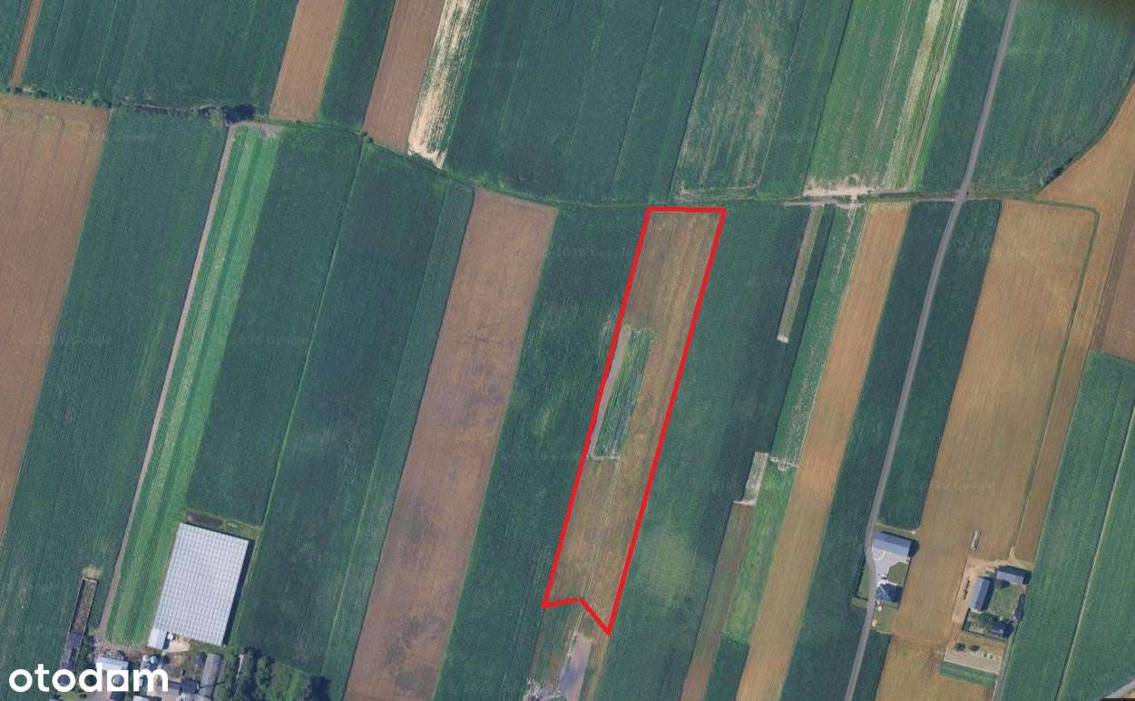 Grunt rolny 2,07 ha, Kolonia Skarszewek, gm. Żelazków,4 km od Kalisza-1