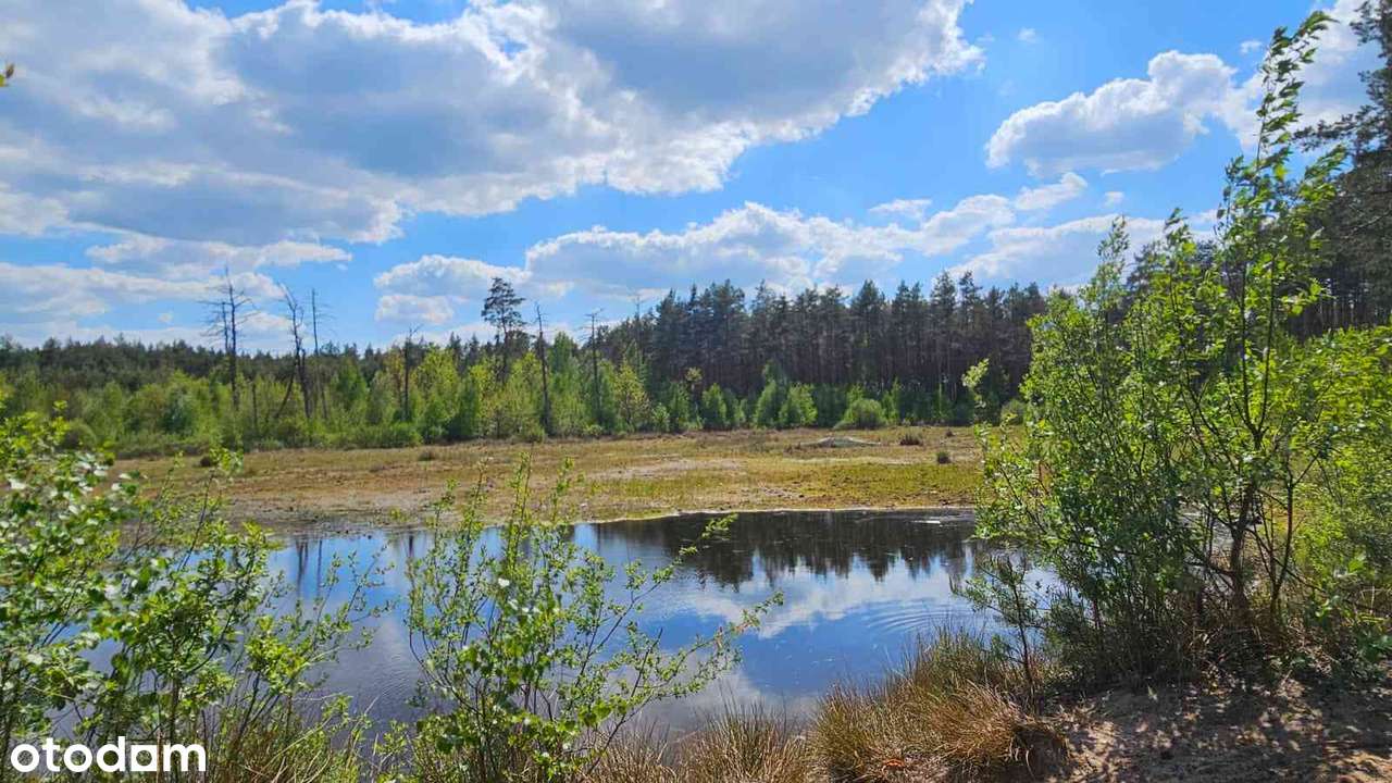Działka budowlana blisko jeziora i lasu