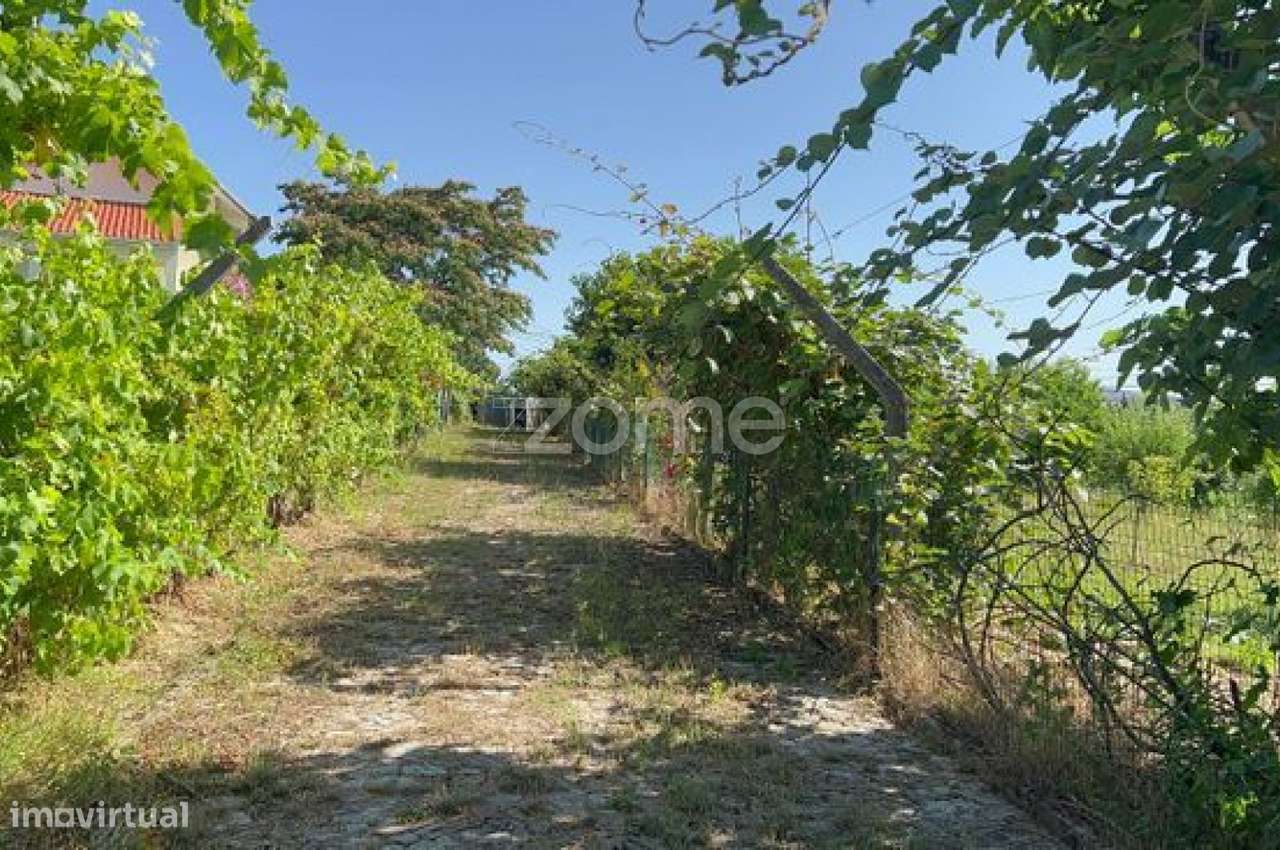 Construa a Casa dos Seus Sonhos em Escariz – Terreno Plano à Venda - Grande imagem: 3/16