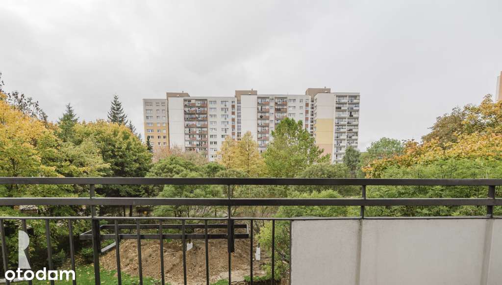 3 pok. po gruntownym remoncie z widokiem na zieleń-4