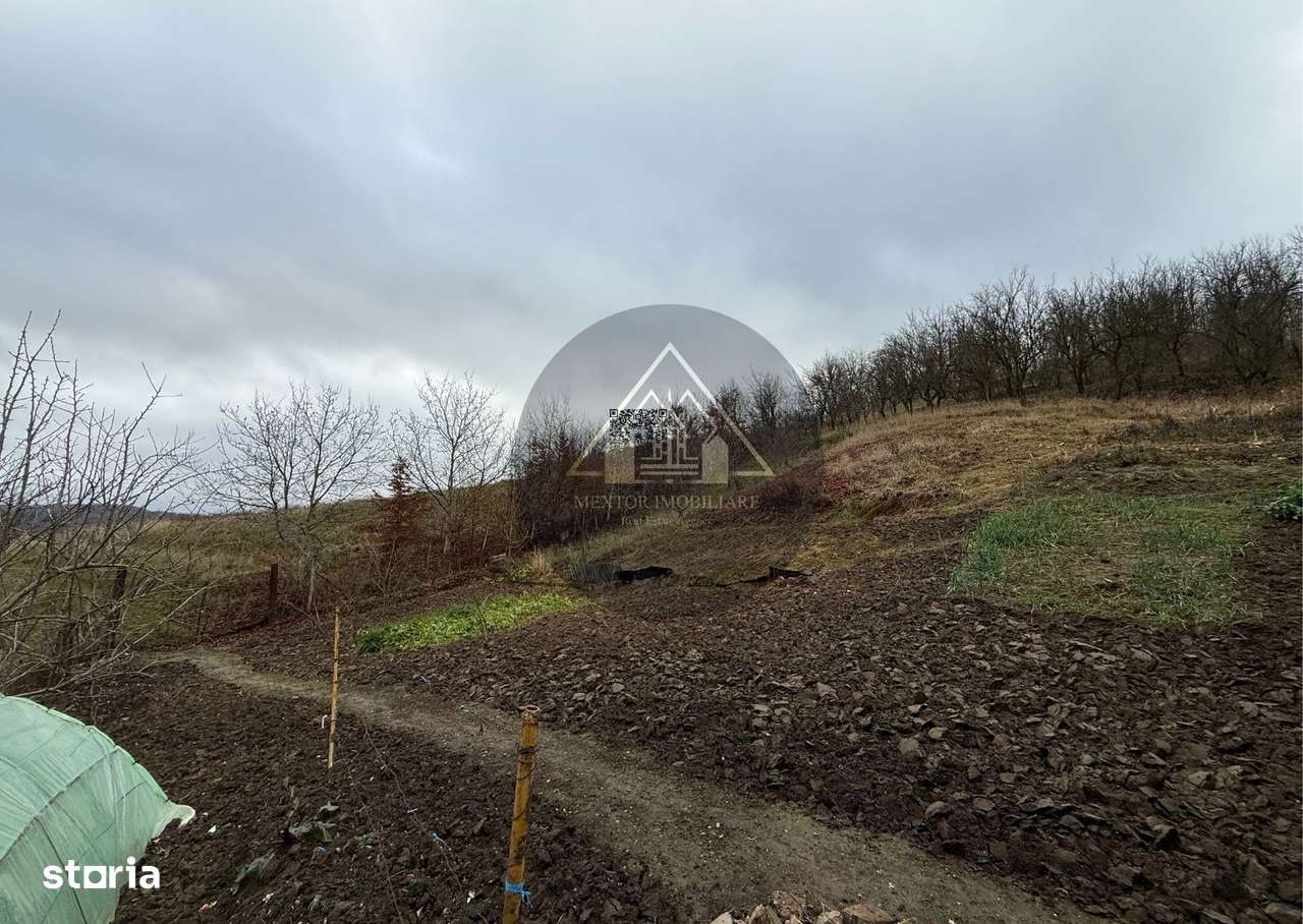 Casa 3 camere, Medias-17