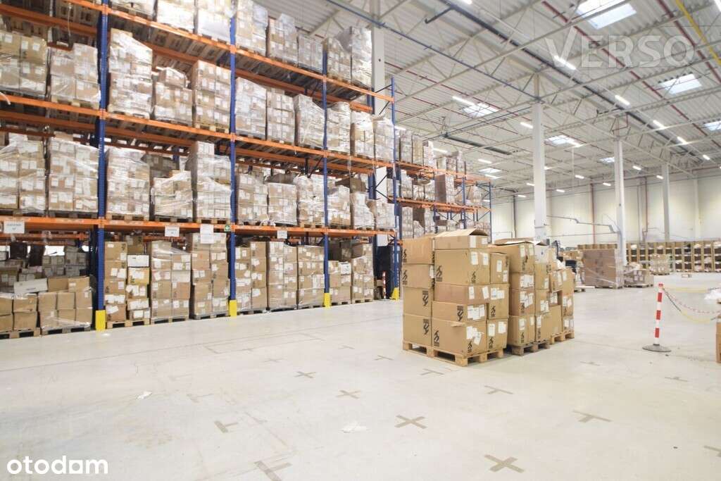 Magazyn 1350 mkw., dostępne biura, doki, brama 0 - Pełny obrazek: 2/8