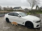 BMW Seria 5 520d xDrive MHEV M Sport sport - 8