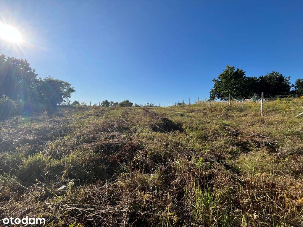 Działka na sprzedaż w Pniewie - Pełny obrazek: 4/5