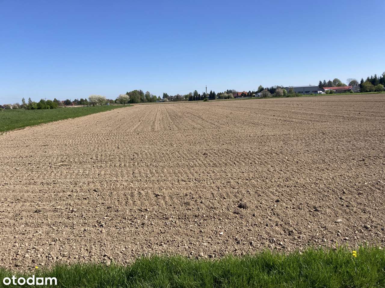 Działka 80 ar - Trzebownisko pod Rzeszowem - Pełny obrazek: 4/5