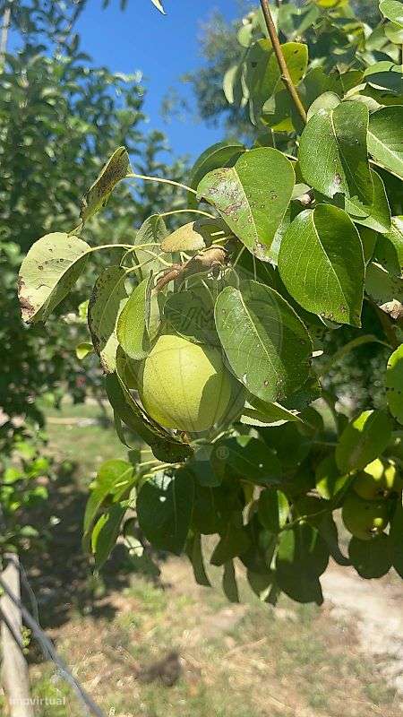 Moradia T2 para venda-23